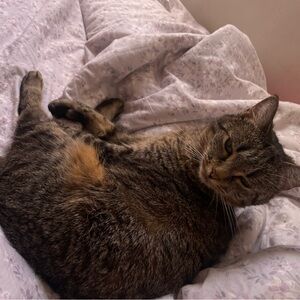 Hello Everyone!!

Welcome to my page:)